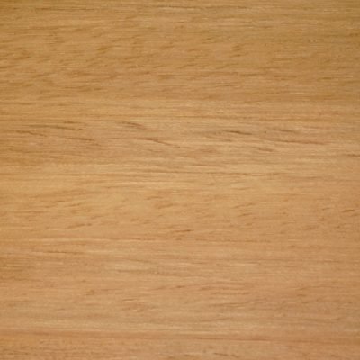 Iroko-Milicia Excelsa